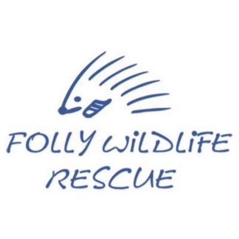 Ambulance for Folly Wildlife Rescue